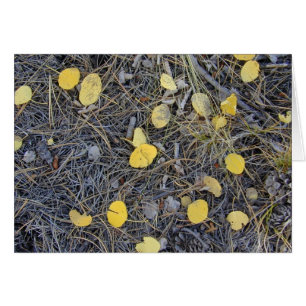 Aspen Ground II card