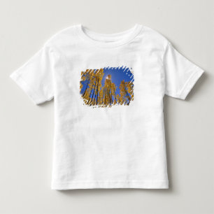 Aspen grove in autumn in the San Juan Range of Toddler T-Shirt