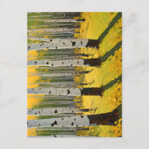 Aspen Grove in the Afternoon Sunlight Postcard