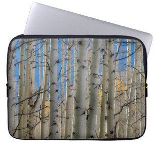 Aspen Groves   Colorado Rocky Mountains Laptop Sleeve
