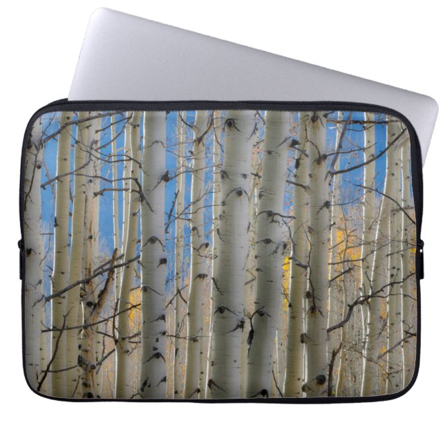 Aspen Groves | Colorado Rocky Mountains Laptop Sleeve (Front)
