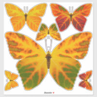 Aspen Leaf Butterfly 1