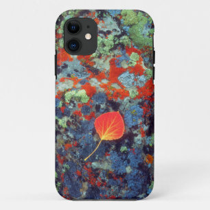 Aspen leaf on a lichen covered rock Case-Mate iPhone case
