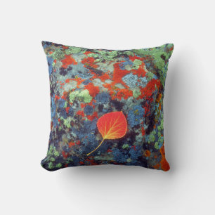 Aspen leaf on a lichen covered rock cushion