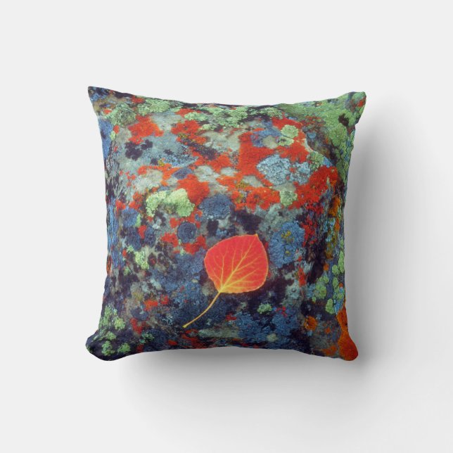Aspen leaf on a lichen covered rock cushion (Front)