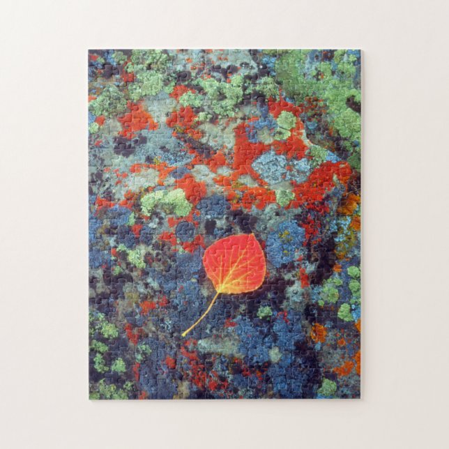Aspen leaf on a lichen covered rock jigsaw puzzle (Vertical)