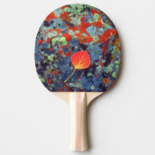 Aspen leaf on a lichen covered rock ping pong paddle (Front)