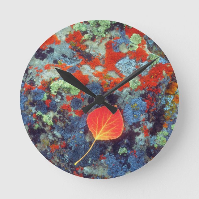 Aspen leaf on a lichen covered rock round clock (Front)