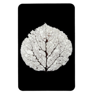Aspen Leaf Skeleton 1 Magnet