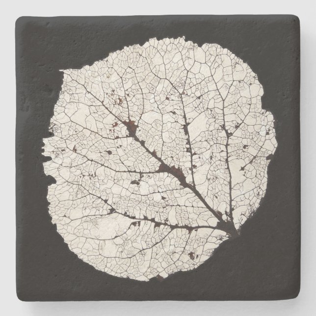 Aspen Leaf Skeleton 1 Stone Coaster (Front)