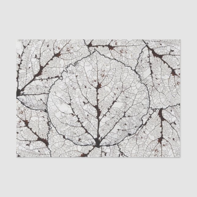 Aspen Leaf Skeleton 1 Tissue Paper (Front)