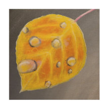 Aspen Leaf with Water Droplets