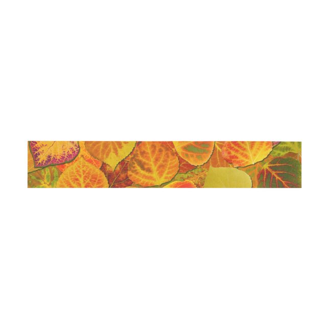 Aspen Leaves Collage Solid Medley 1 Invitation Belly Band (Flat)
