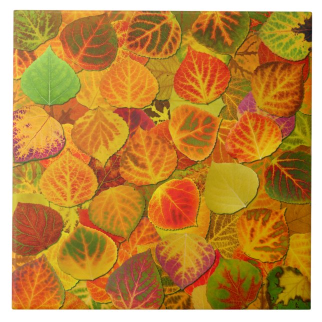 Aspen Leaves Collage Solid Medley 1 Tile (Front)