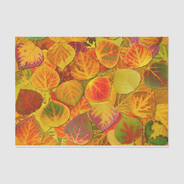 Aspen Leaves Collage Solid Medley 1 Tissue Paper (Front)