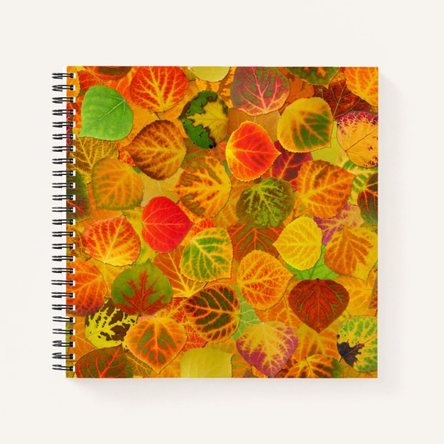 Aspen Leaves collage solid medley seamless 1 Notebook (Front)