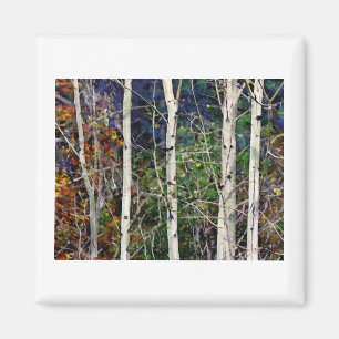 Aspen magnet