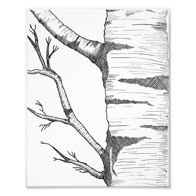 Aspen  photo print (Front)