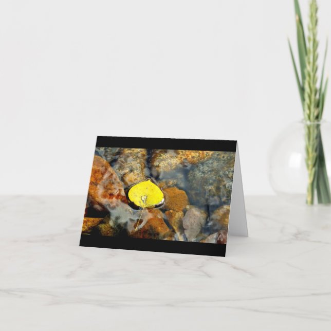 Aspen & the water drop blank card (Front)