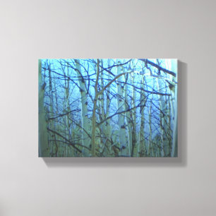 Aspen tree blue backlight canvas wrap print