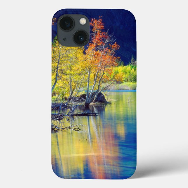Aspen tree in autumn reflecting in Grant Lake Case-Mate iPhone Case (Back)