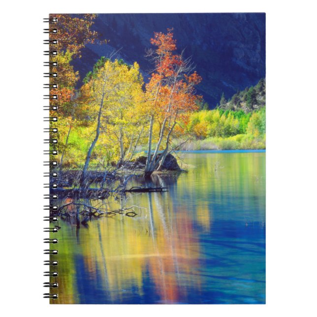 Aspen tree in autumn reflecting in Grant Lake Notebook (Front)