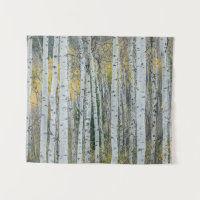 Aspen Tree Trunks | Aspen, Colorado