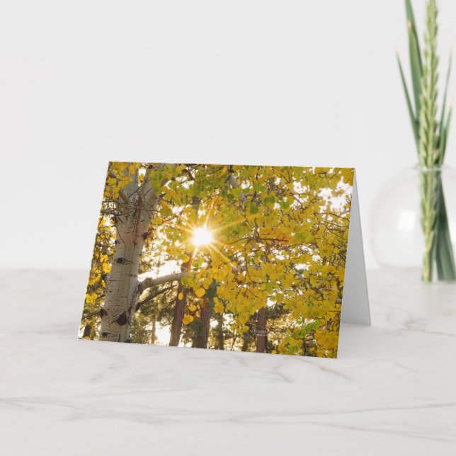 Aspen Tree With Yellow Fall Foliage And Sunburst Card (Front)