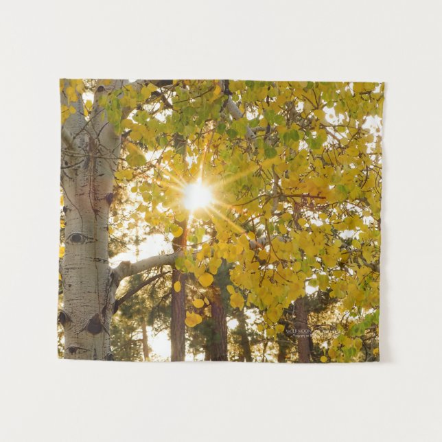 Aspen Tree With Yellow Fall Foliage Sunburst 34x40 Tapestry (Front (Horizontal))
