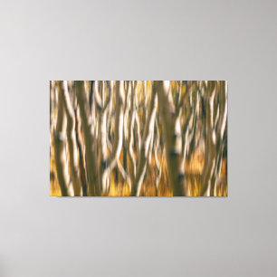 Aspen Trees Abstract Canvas Print