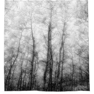 Aspen Trees - Black & White Shower Curtain