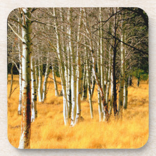 aspen trees coaster