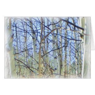 Aspen trees greeting card