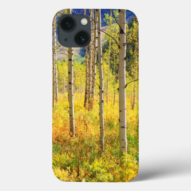 Aspen Trees in Autumn in the Rockies Case-Mate iPhone Case (Back)
