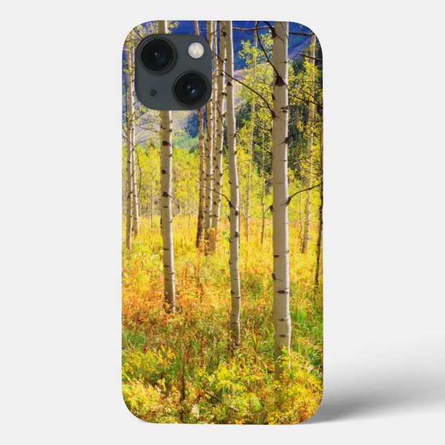 Aspen Trees in Autumn in the Rockies Case-Mate iPhone Case (Back)