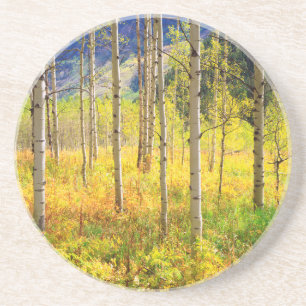 Aspen Trees in Autumn in the Rockies Coaster