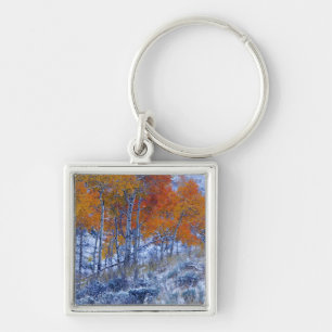 Aspen trees in Fall colours, Bighorn Mountains, Key Ring
