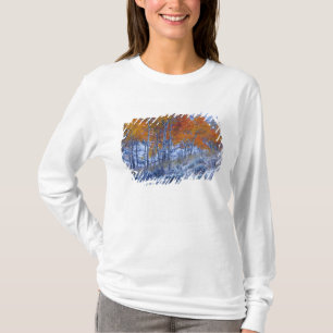 Aspen trees in Fall colours, Bighorn Mountains, T-Shirt
