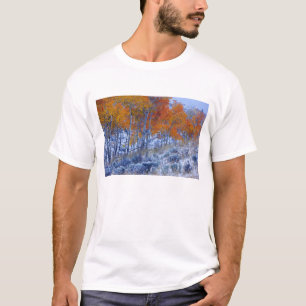 Aspen trees in Fall colours, Bighorn Mountains, T-Shirt