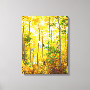 Aspen Trees In Fall   Sierra Nevada Mountains, CA Canvas Print