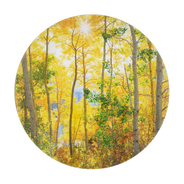 Aspen Trees In Fall | Sierra Nevada Mountains, CA Cutting Board (Front)