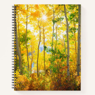 Aspen Trees In Fall Sierra Nevada Mountains, CA Notebook