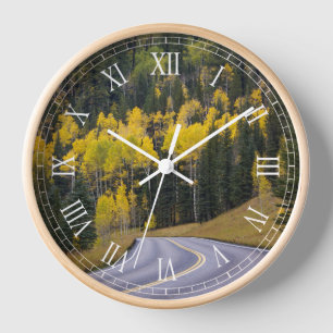 Aspen trees in northern Arizona Clock