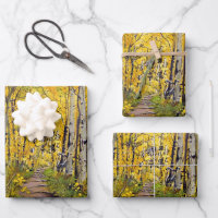 Aspen Trees in the Autumn Colours