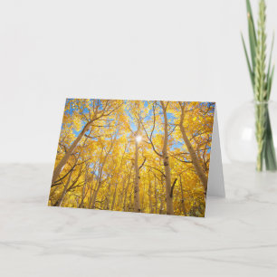 Aspen Trees Sierra Nevada Mountains, CA Card