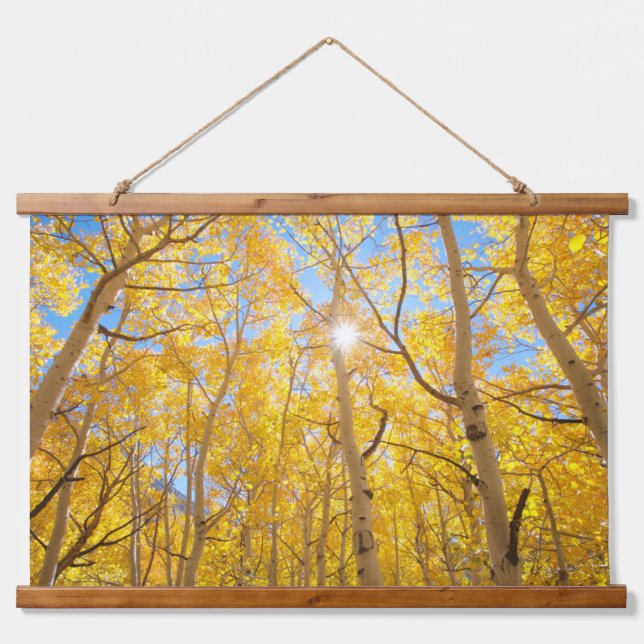 Aspen Trees | Sierra Nevada Mountains, CA Hanging Tapestry (Front)