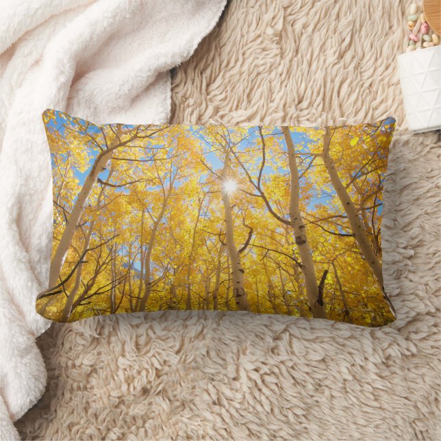 Aspen Trees | Sierra Nevada Mountains, CA Lumbar Cushion (Blanket)