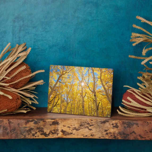 Aspen Trees | Sierra Nevada Mountains, CA Plaque (Side)