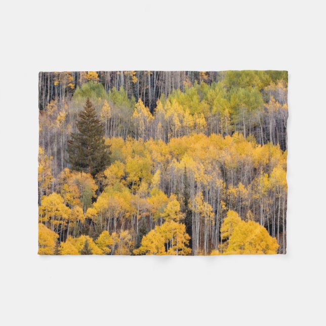 Aspen Trees | White River National Forest Fleece Blanket (Front (Horizontal))