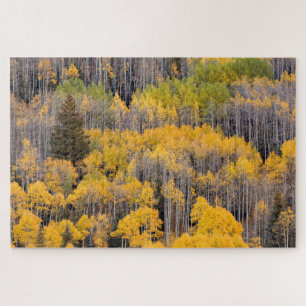 Aspen Trees White River National Forest Jigsaw Puzzle